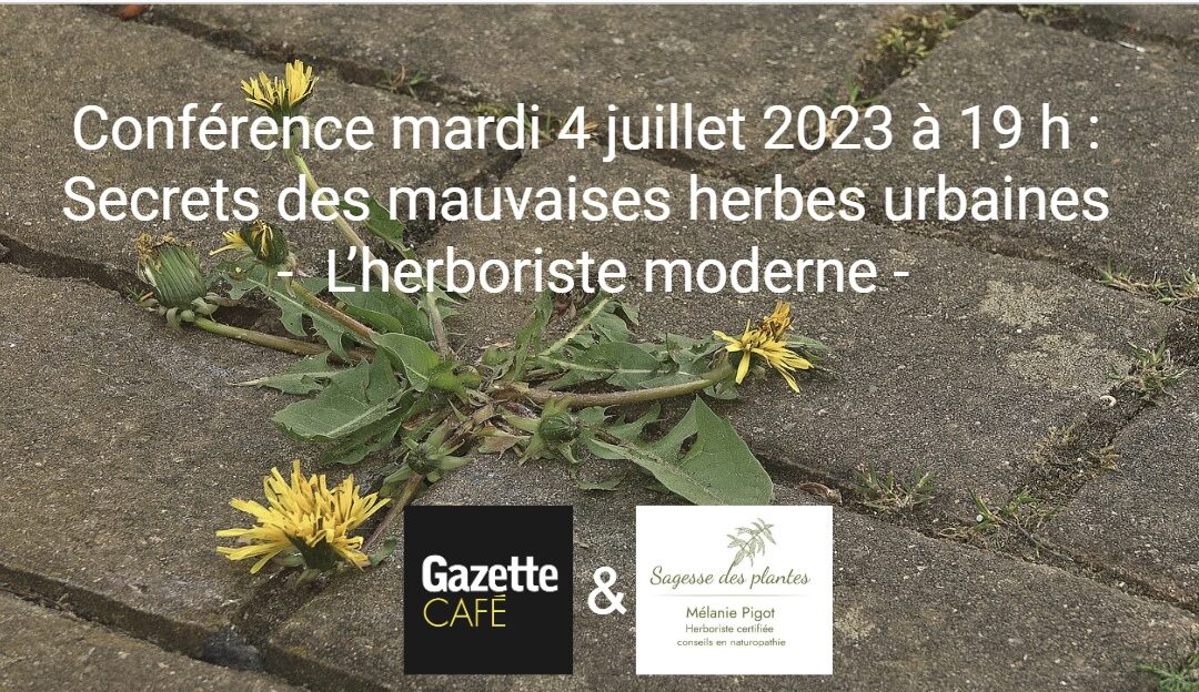 Conférence au Gazette Café