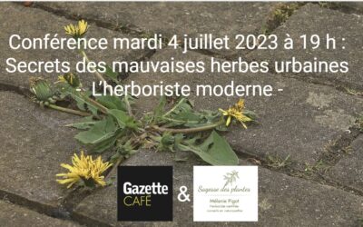 Conférence au Gazette Café