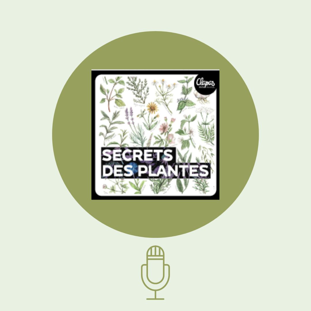 Chaque semaine, Secrets des plantes, la chronique dédiée à l'exploration et à la découverte des usages traditionnels des plantes sur Radio Clapas Montpellier.