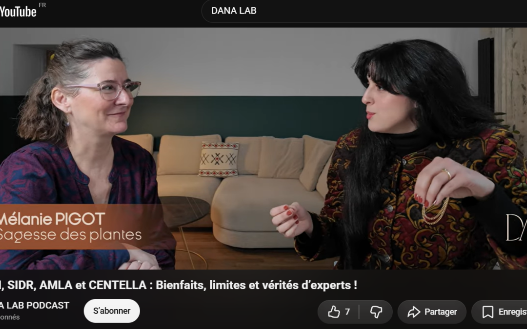 ROMARIN, SIDR, AMLA et CENTELLA : Bienfaits, limites et vérités d’experts !